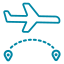 flight